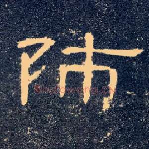师