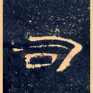 司
