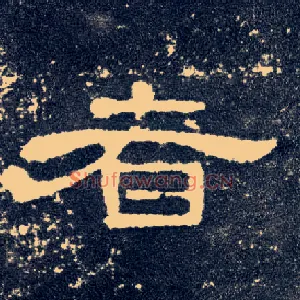 者