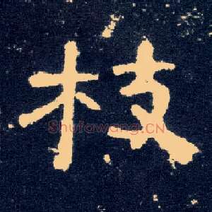 枝