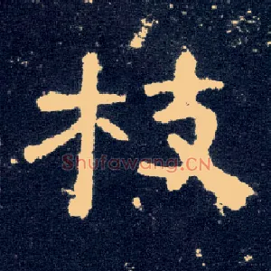枝