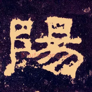 陽