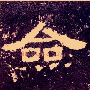 佥