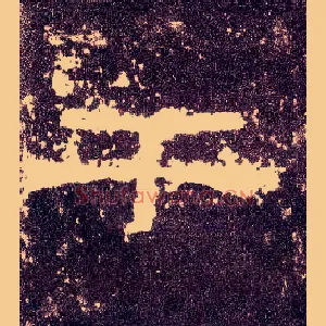 干