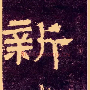 新