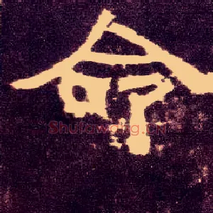 命