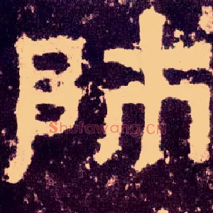 师
