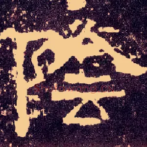 陰