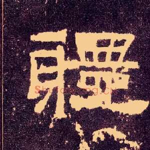体