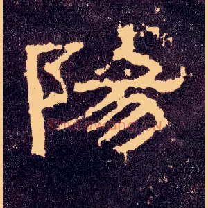 陽