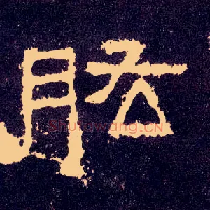 肱