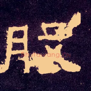 股