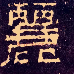 丽