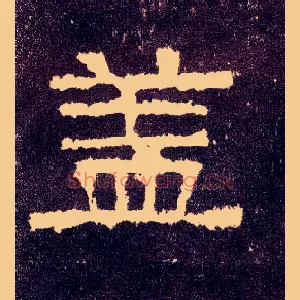 盖