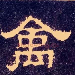 禽