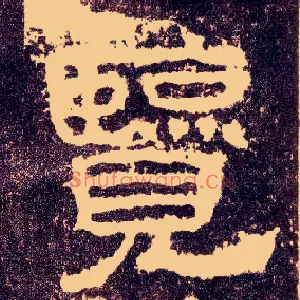 览