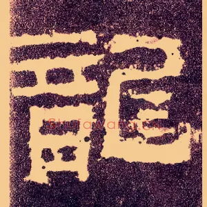 龍