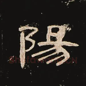 阳