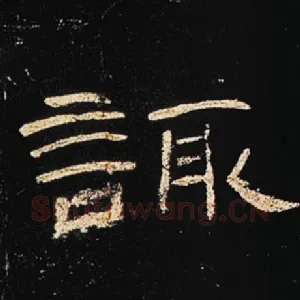 诹