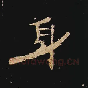 身