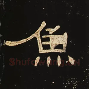 鱼
