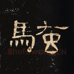 骚