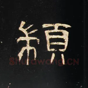 颛