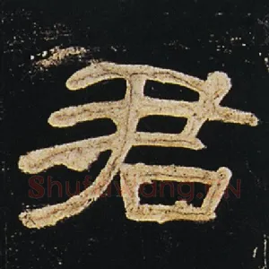 君