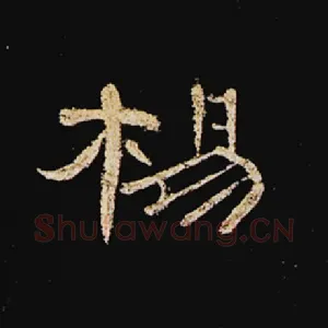 杨