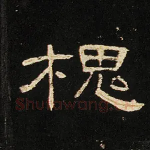 槐