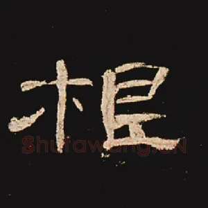根
