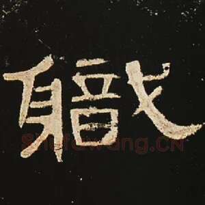 职