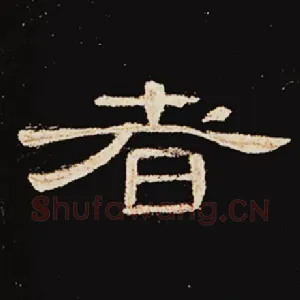 者