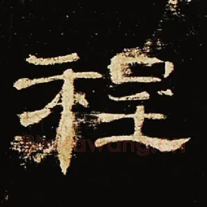 程