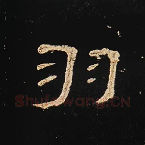 羽