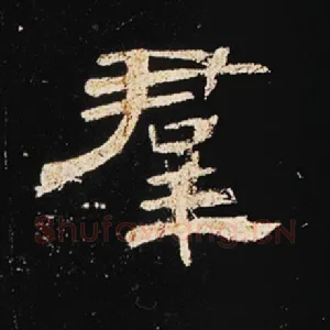 群