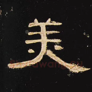 美