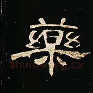 药