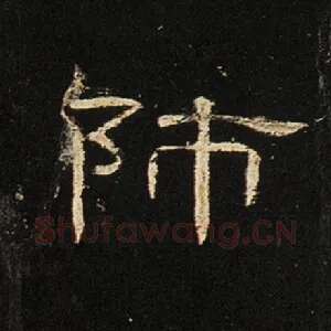 师