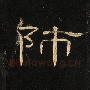 师