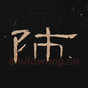 师