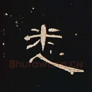 悉