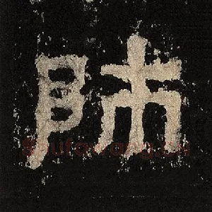 师