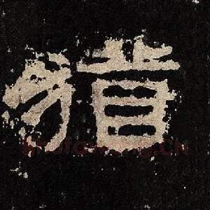 犹