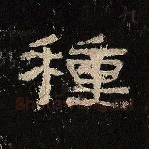 种