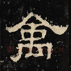 禽