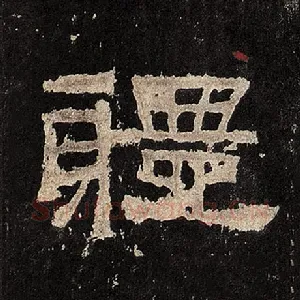 体