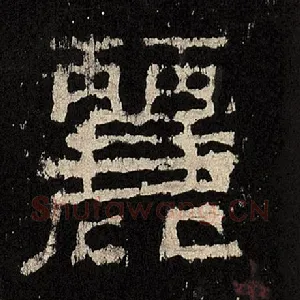 丽