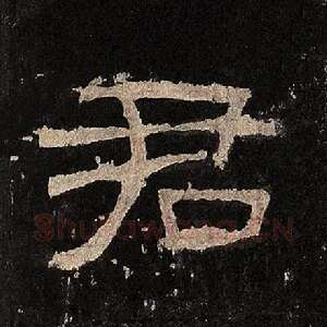君