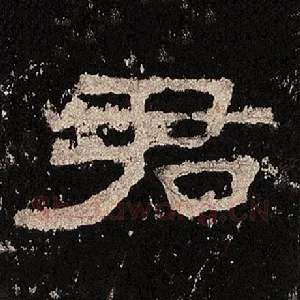 君